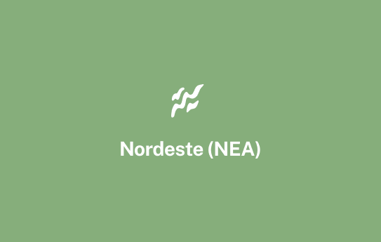Nordeste hover