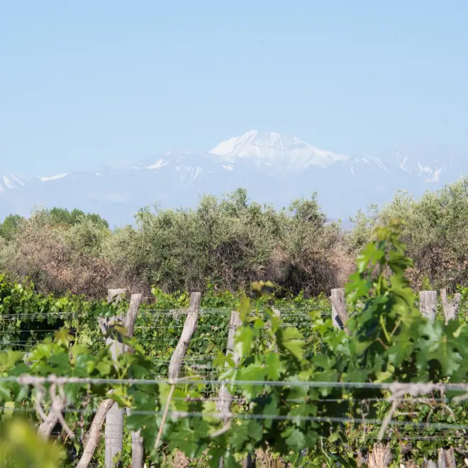 Famila cecchin carrusel (1)
